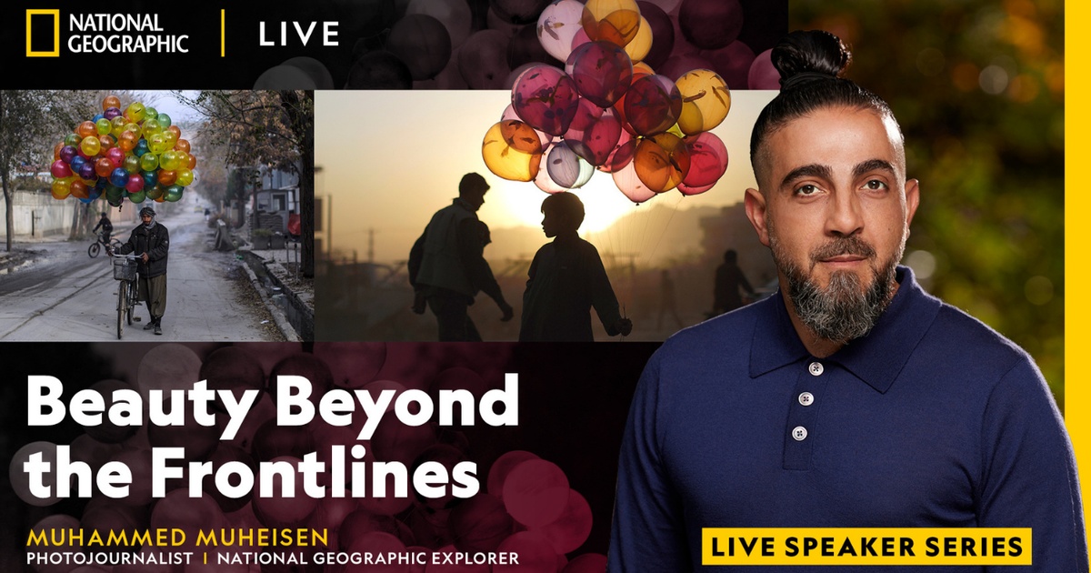 Beauty Beyond the Frontlines