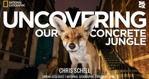 Uncovering Our Concrete Jungle